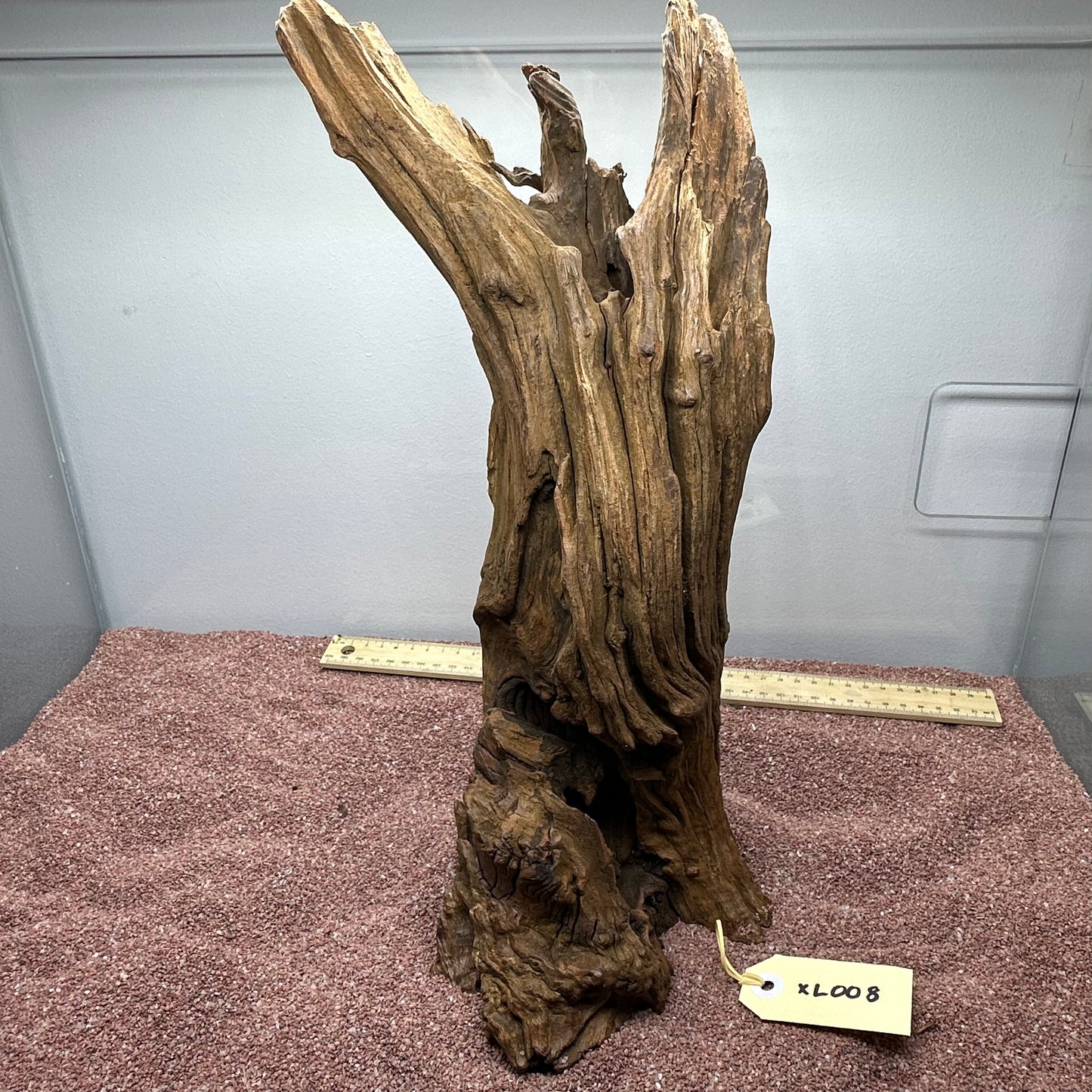 Driftwood (X Large)