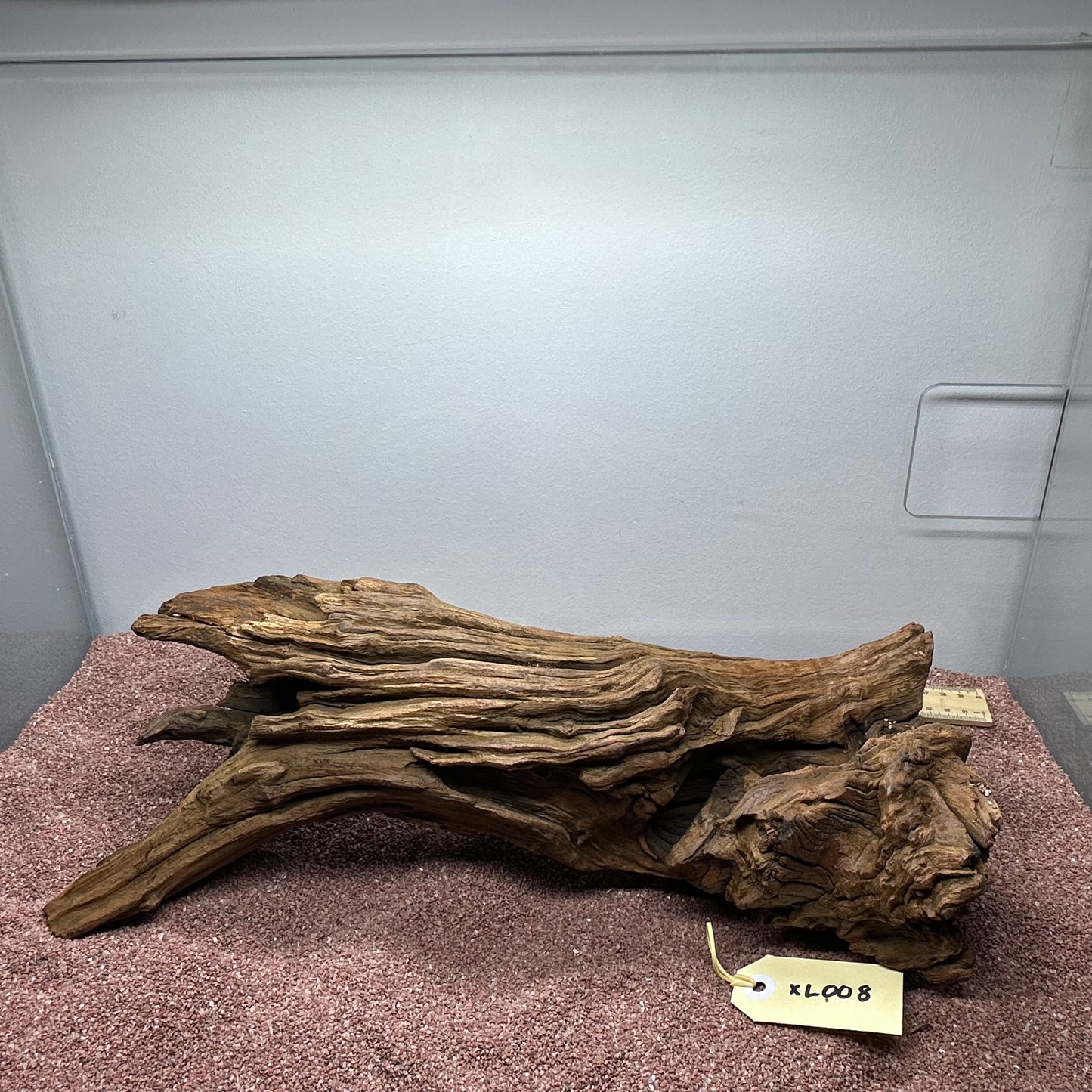 Driftwood (X Large)