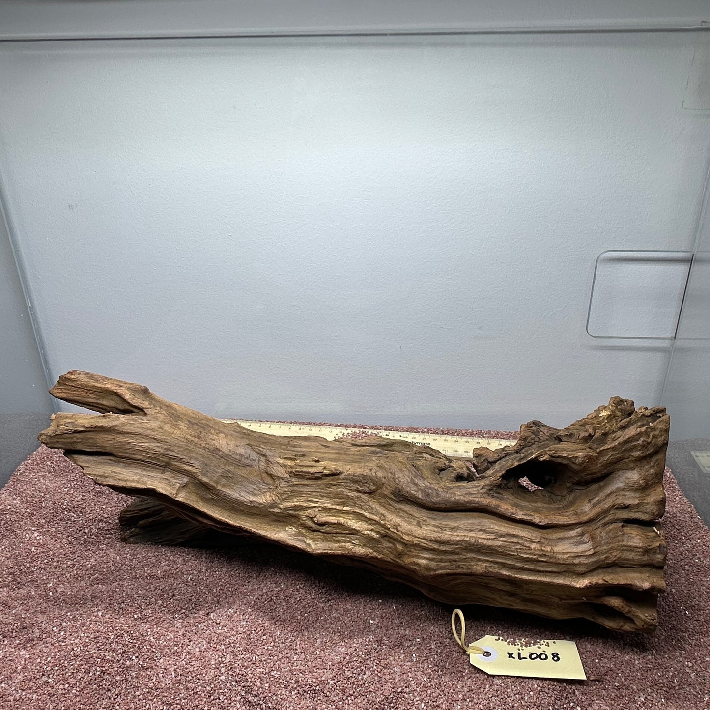 Driftwood (X Large)