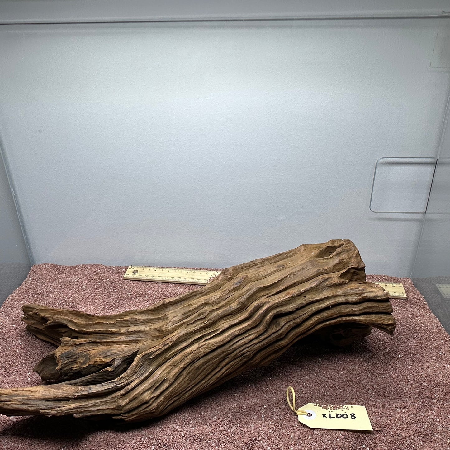 Driftwood (X Large)