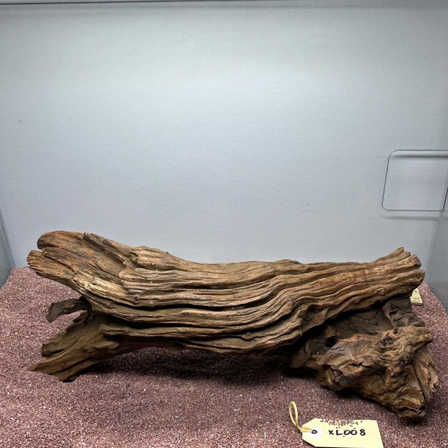 Driftwood (X Large)