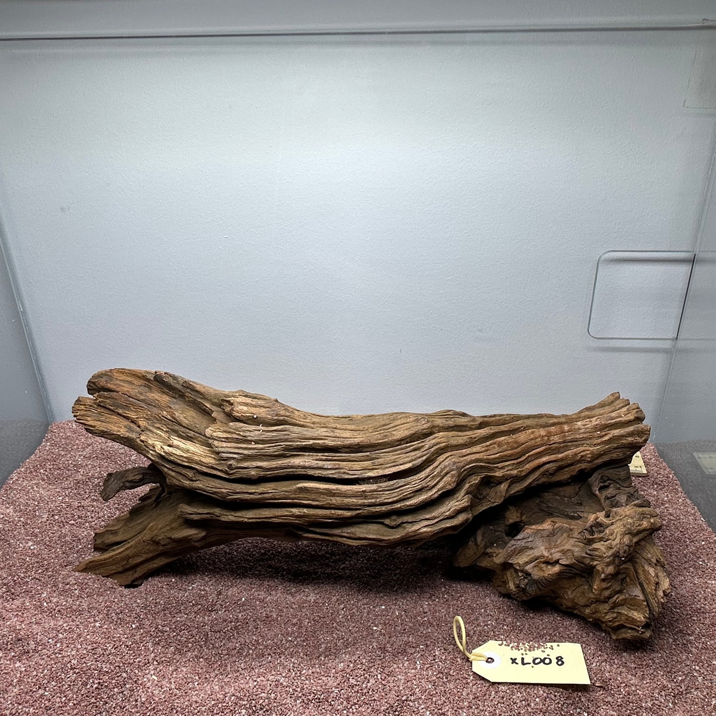 Driftwood (X Large)