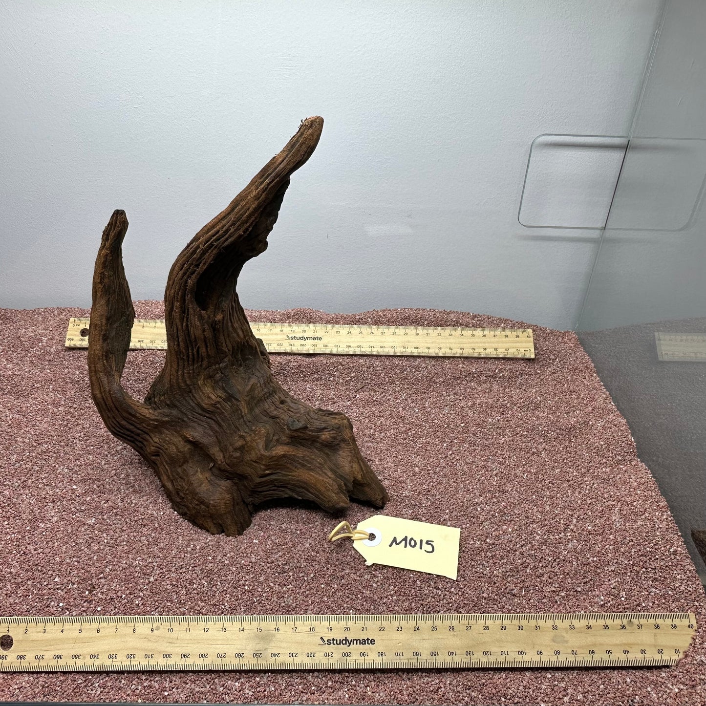 Driftwood (Medium)