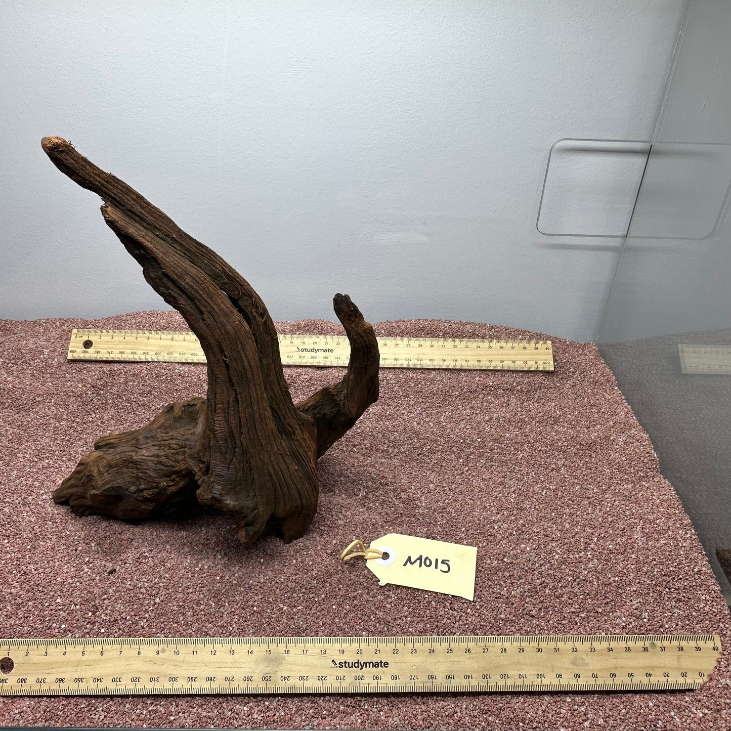 Driftwood (Medium)