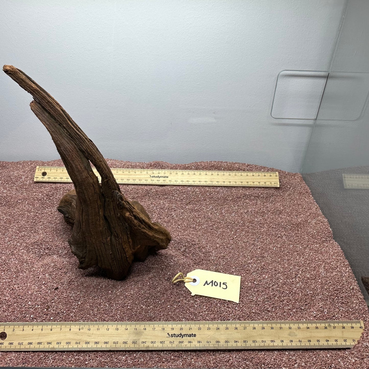Driftwood (Medium)