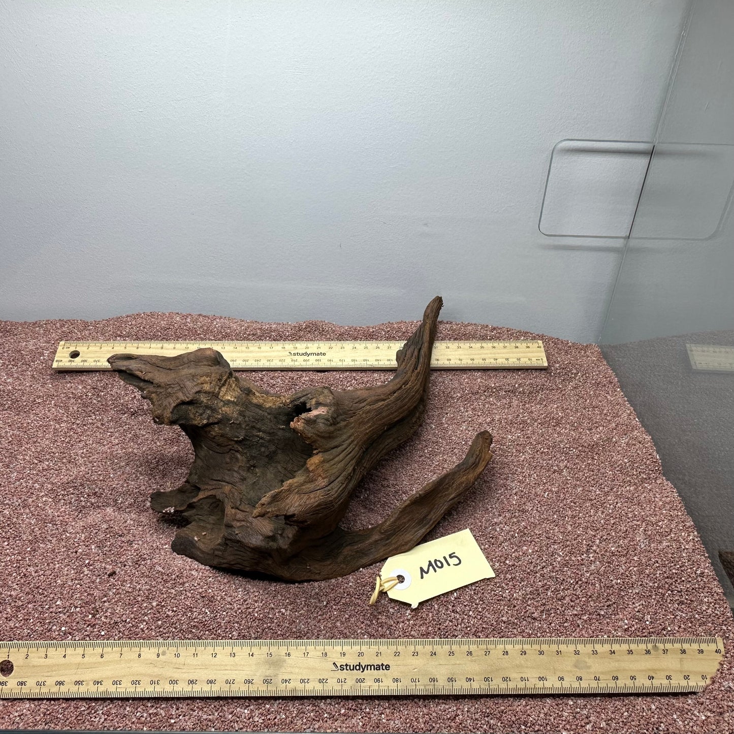 Driftwood (Medium)