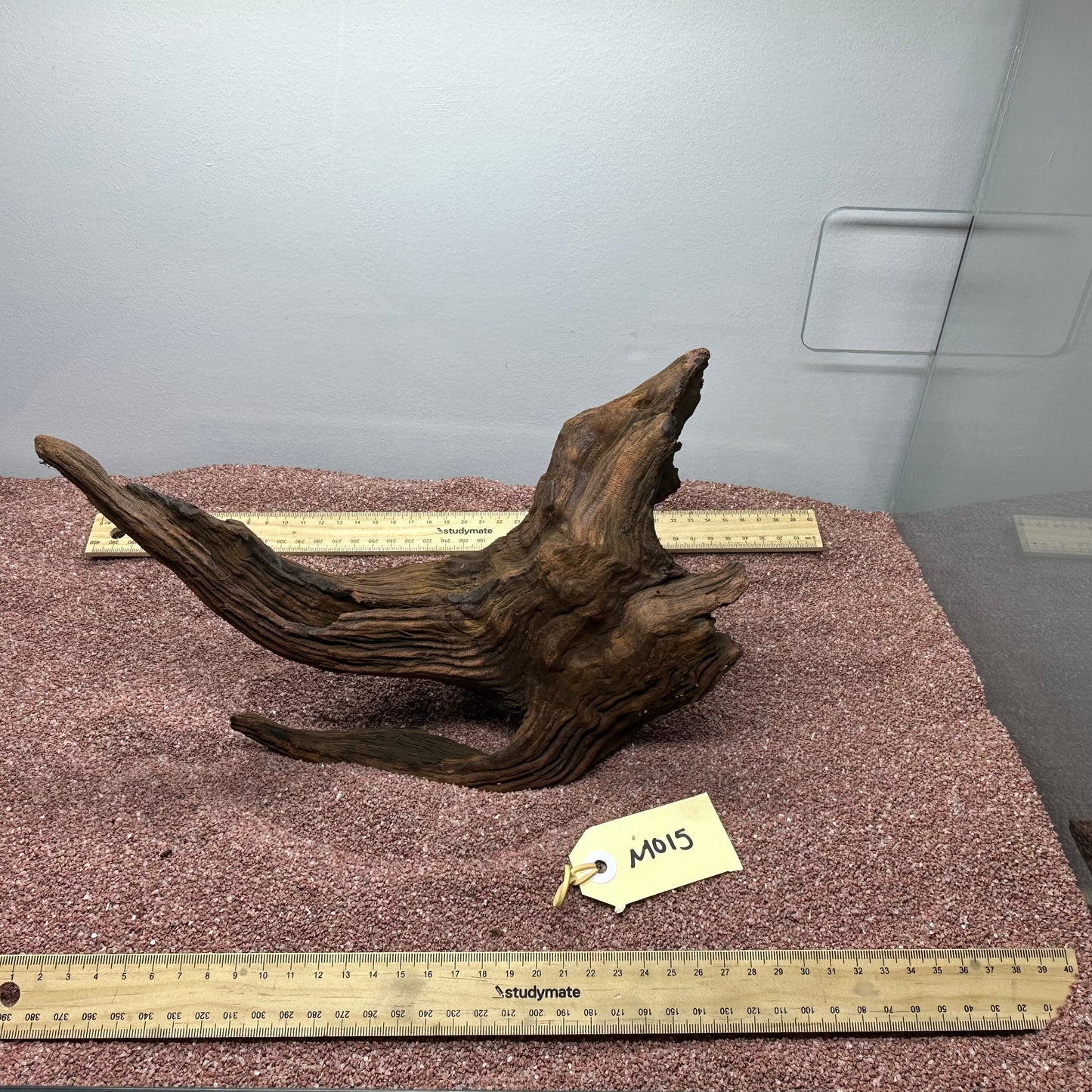 Driftwood (Medium)