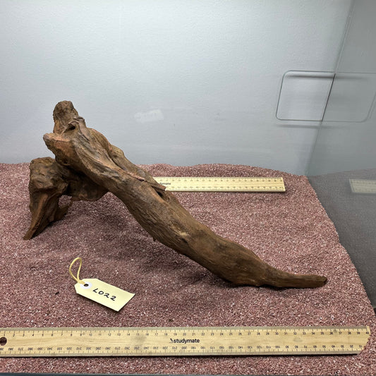 Driftwood (Large)