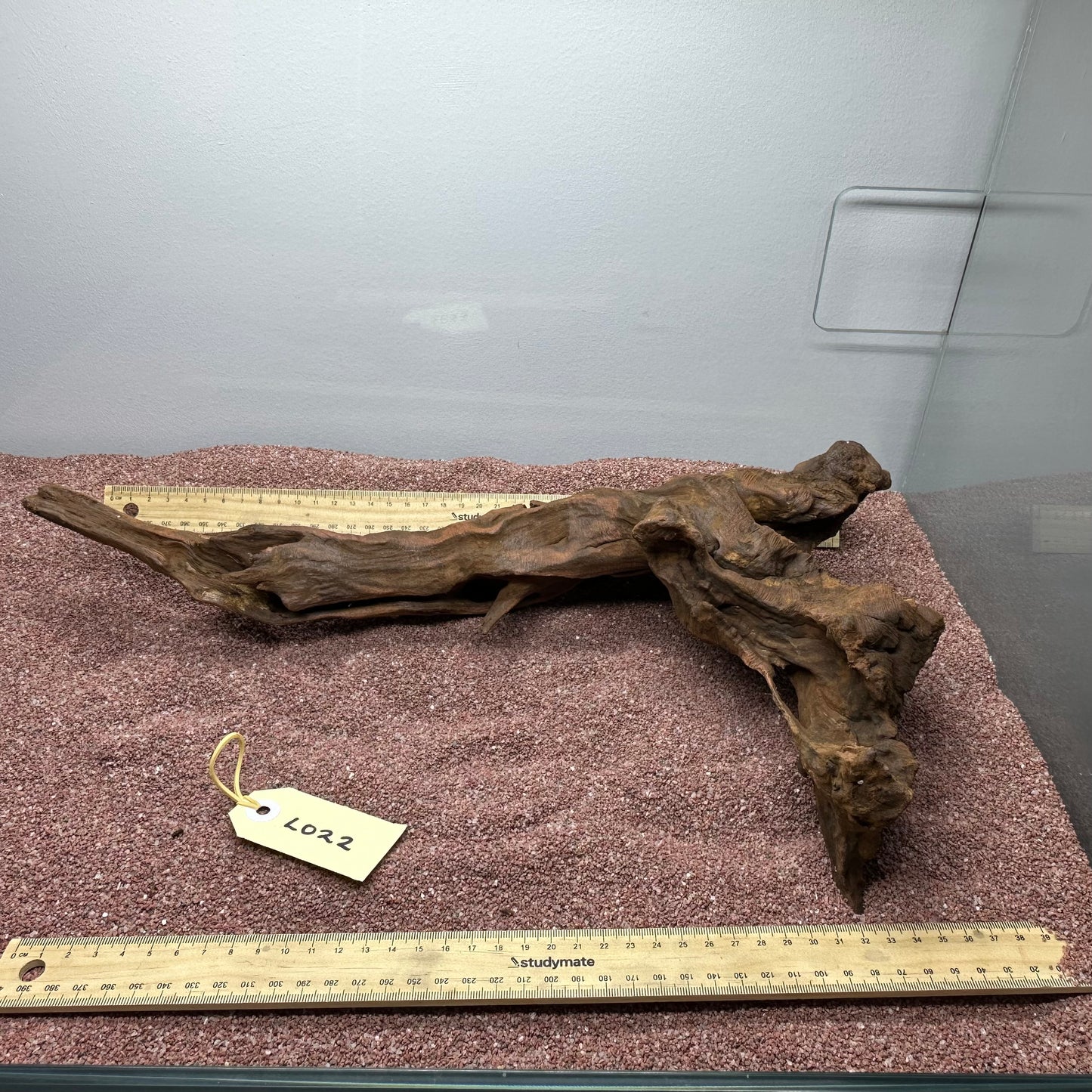 Driftwood (Large)