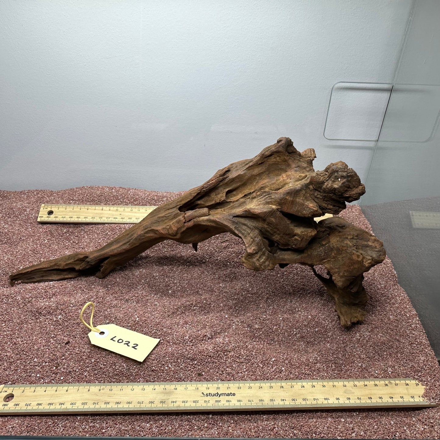 Driftwood (Large)