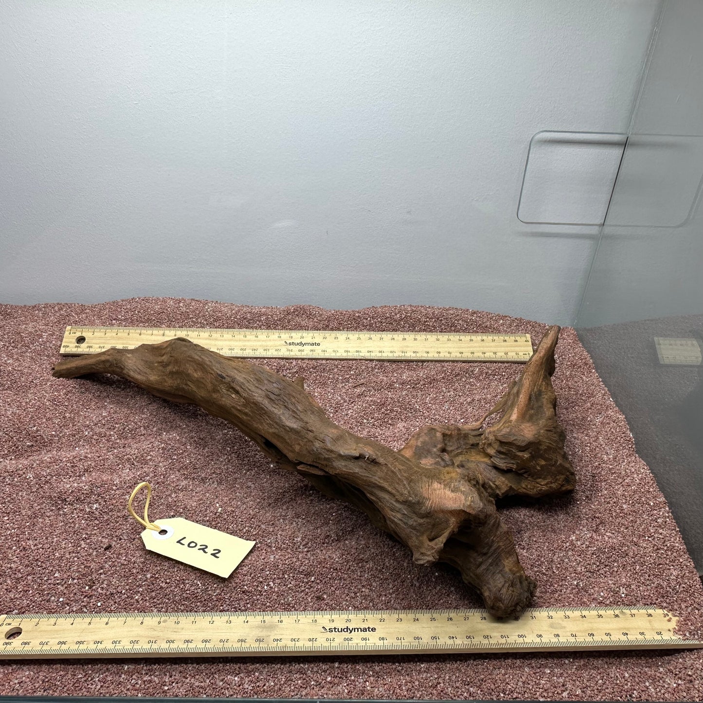 Driftwood (Large)
