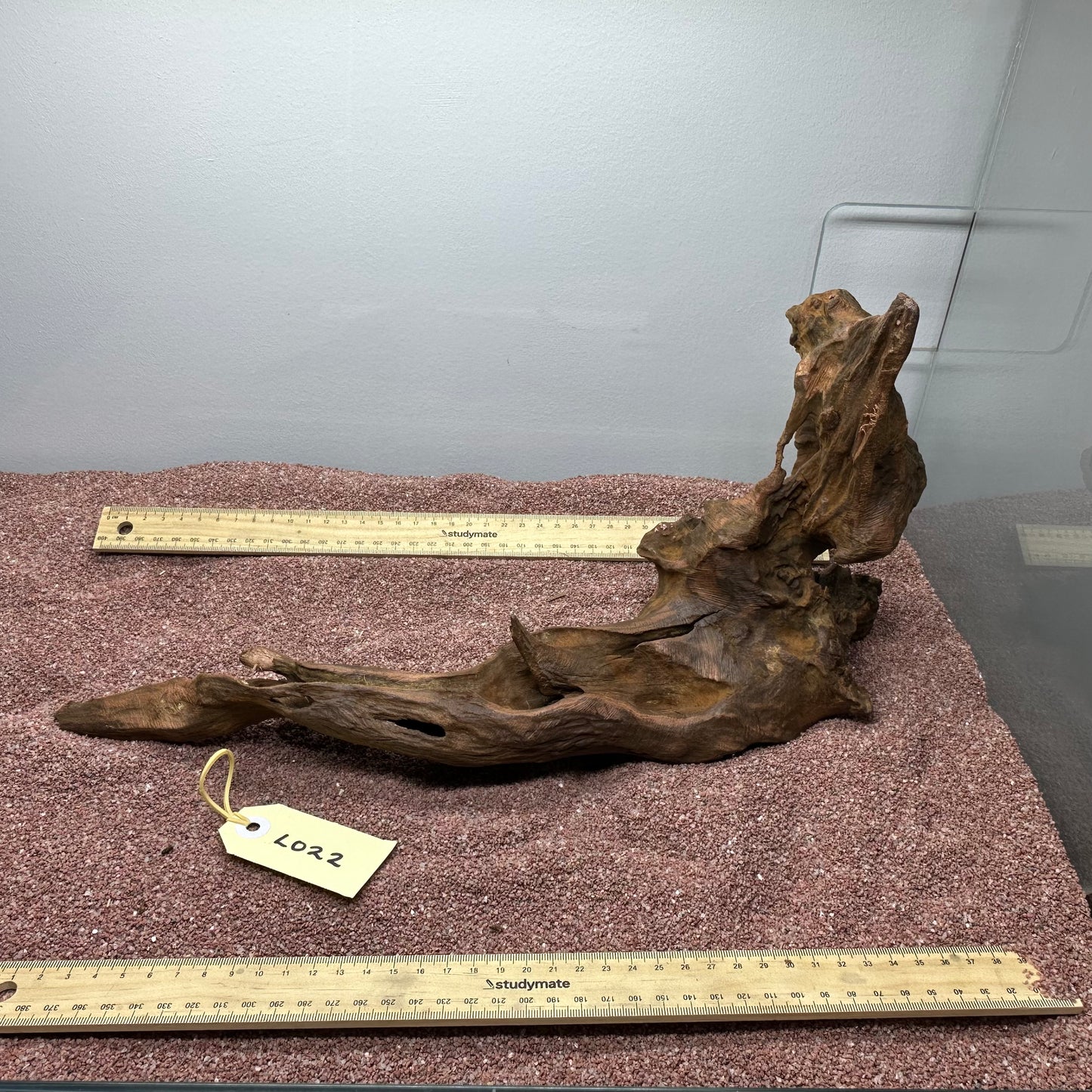 Driftwood (Large)