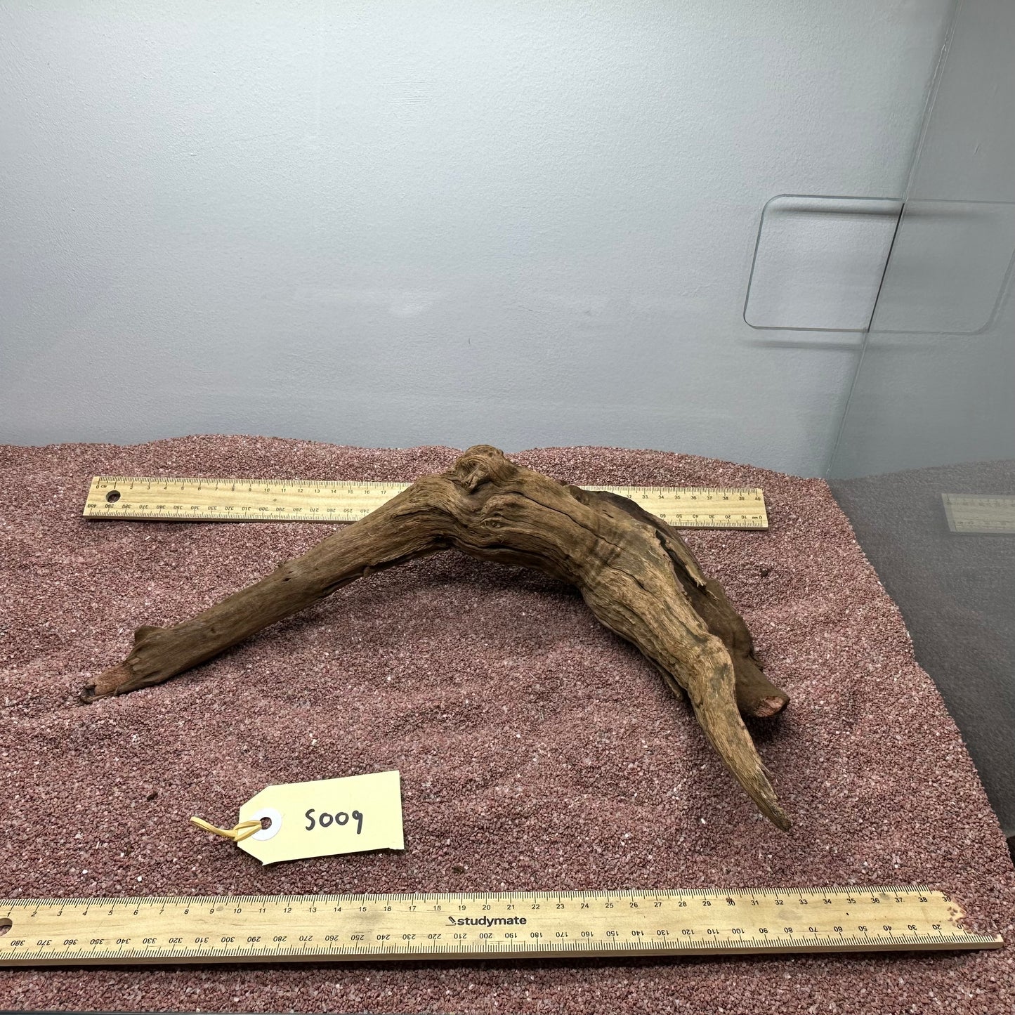 Driftwood (Small)