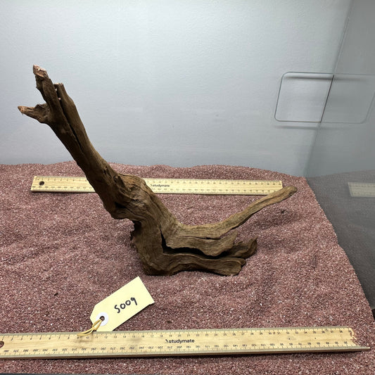 Driftwood (Small)