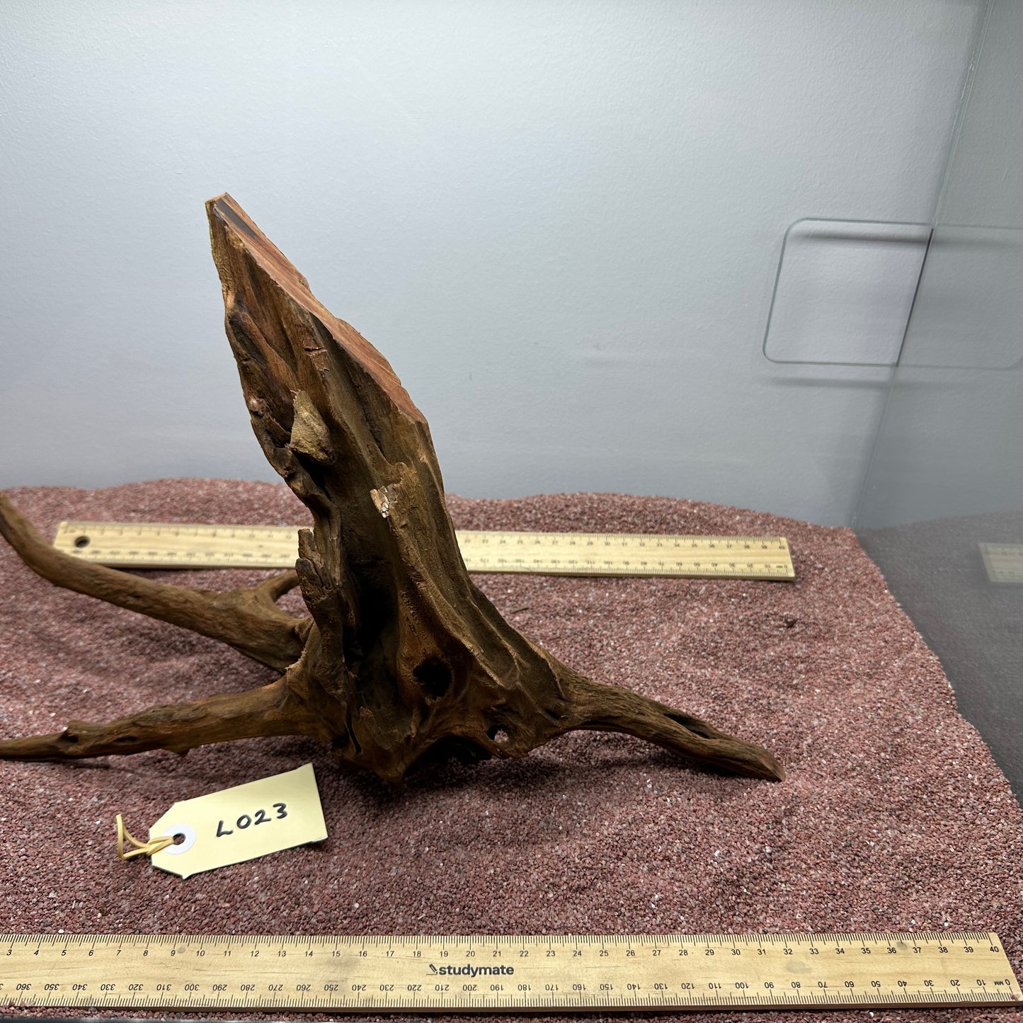 Driftwood (Large)