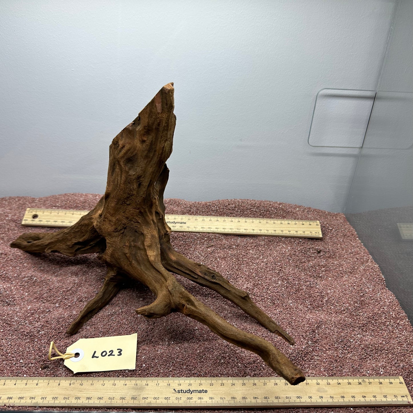 Driftwood (Large)