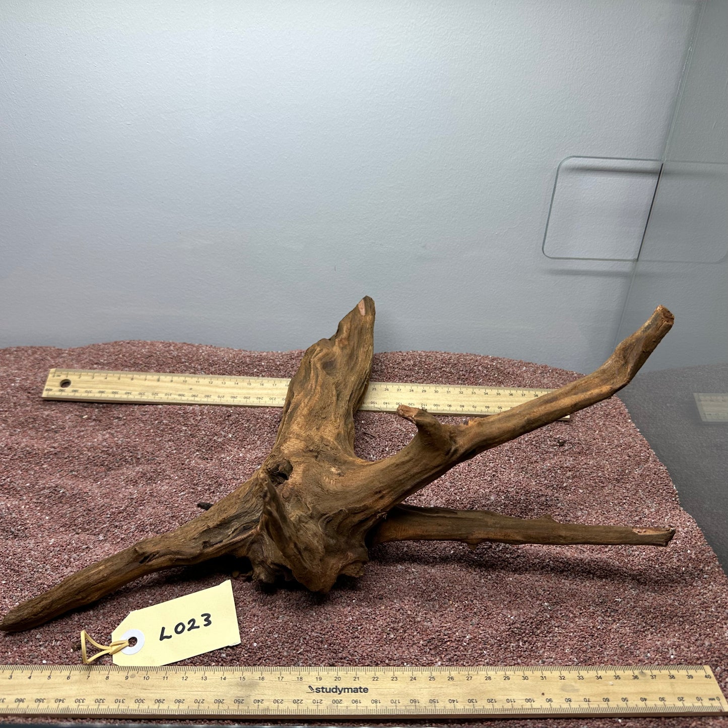 Driftwood (Large)