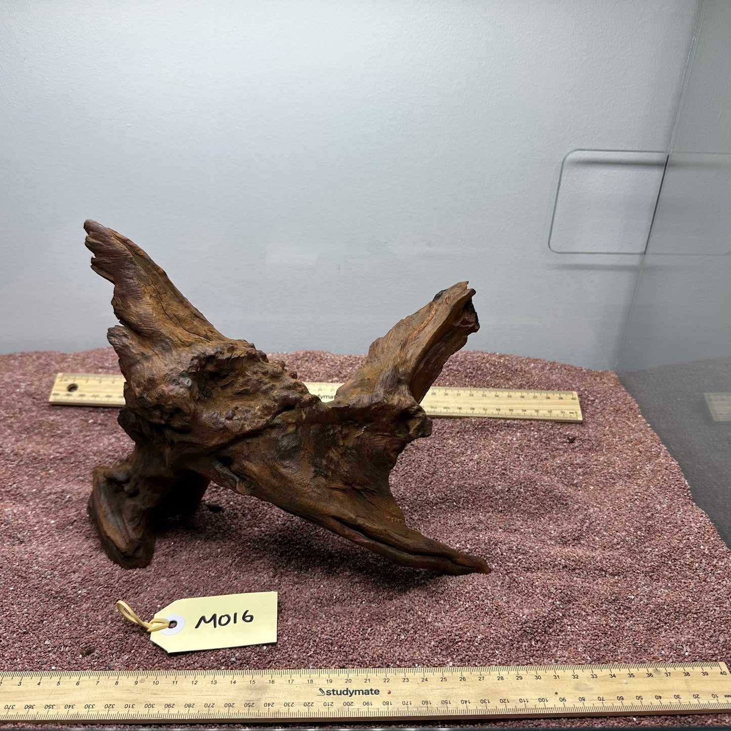 Driftwood (Medium)