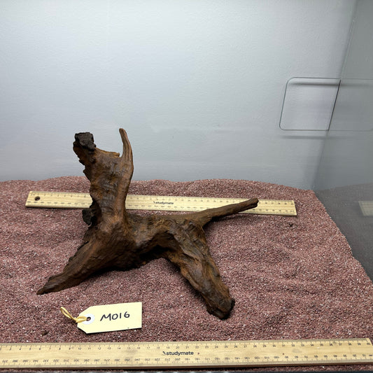 Driftwood (Medium)