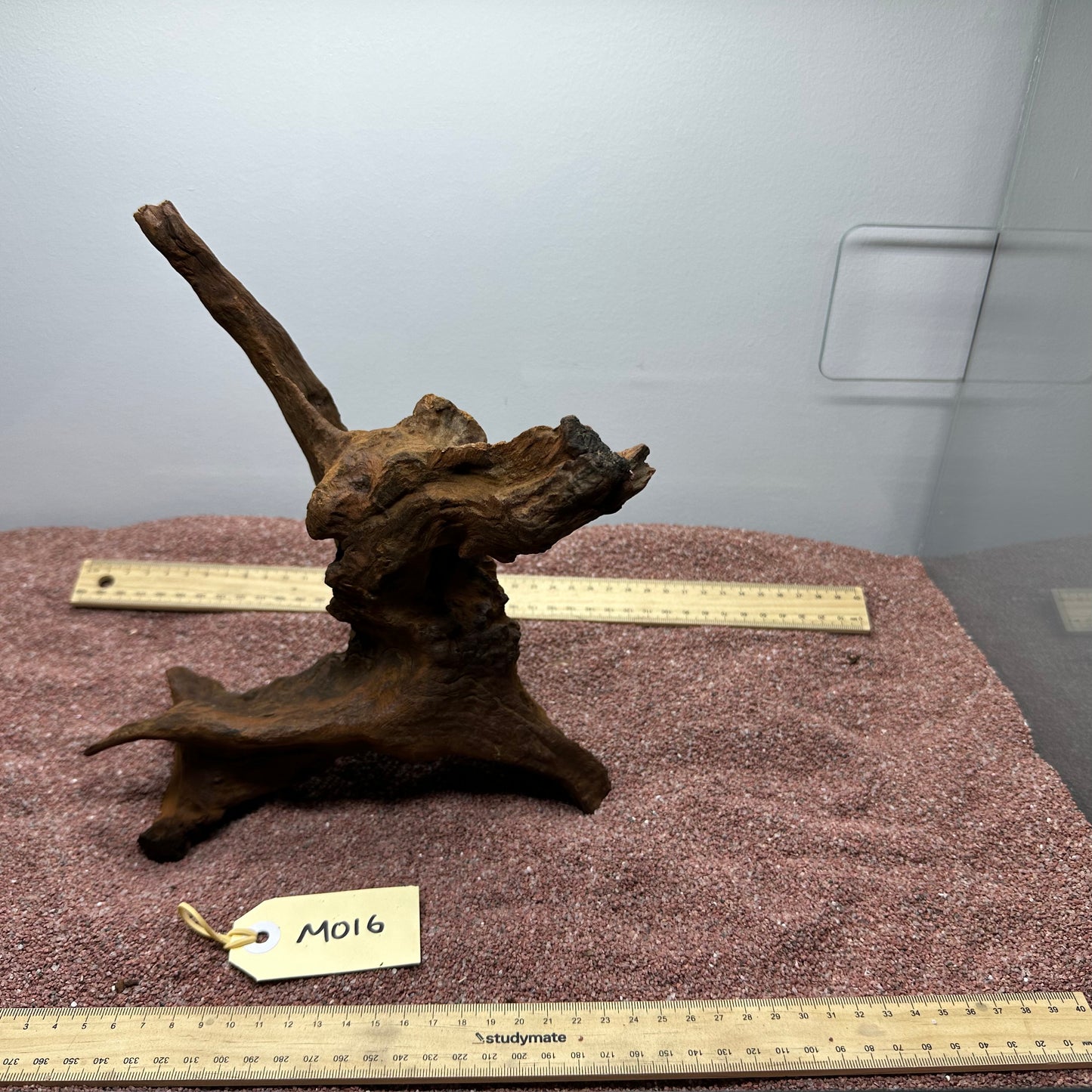 Driftwood (Medium)
