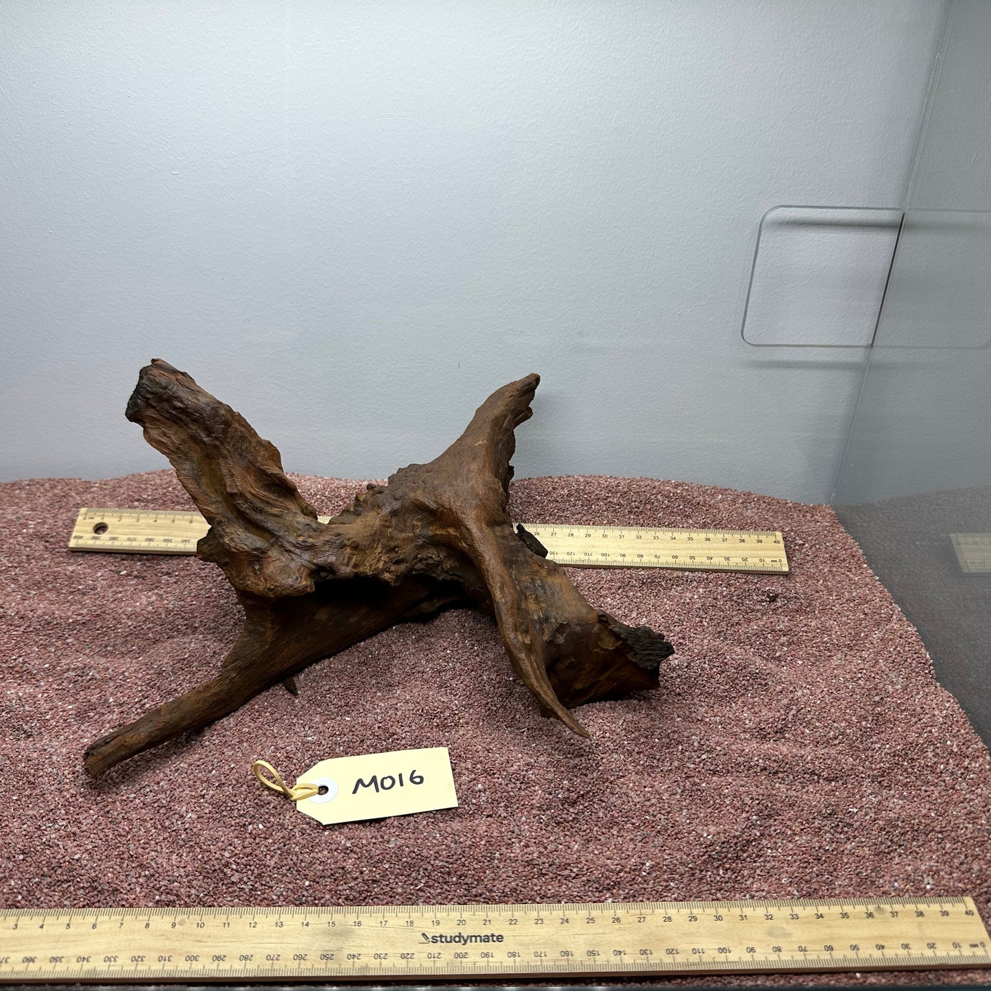 Driftwood (Medium)