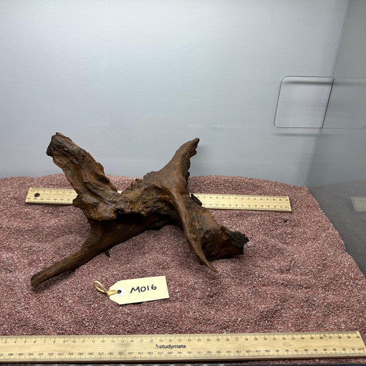 Driftwood (Medium)