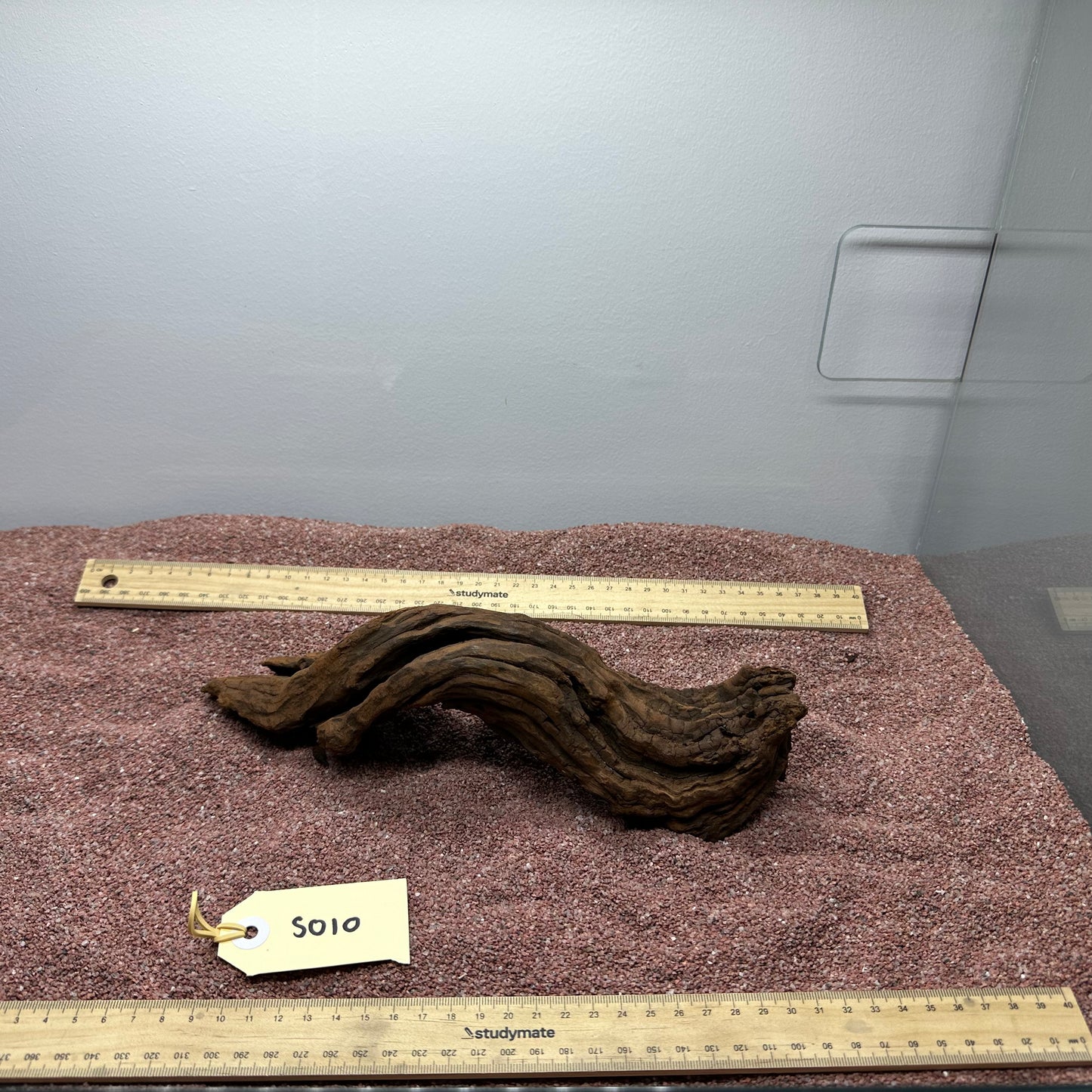 Driftwood (Small)