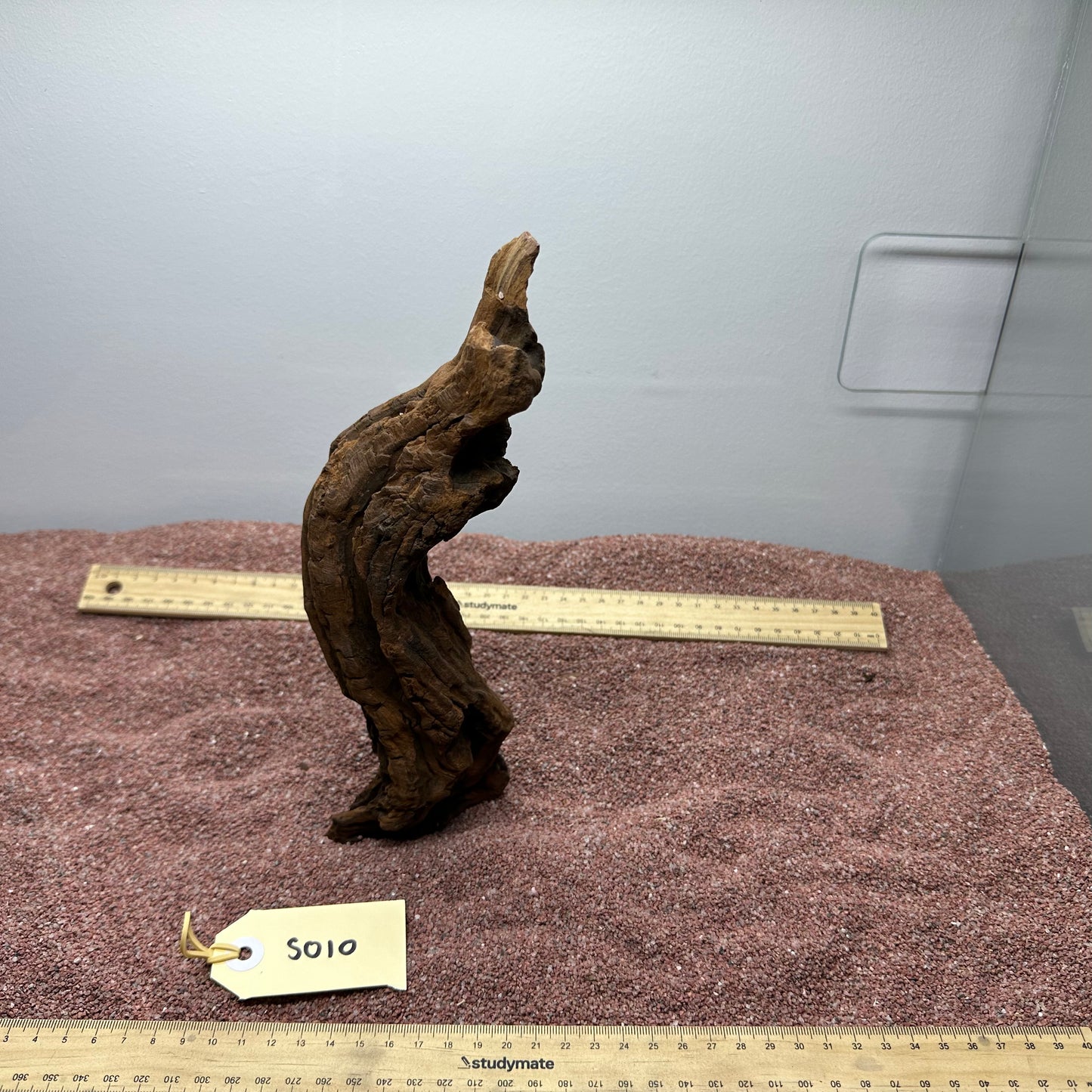 Driftwood (Small)