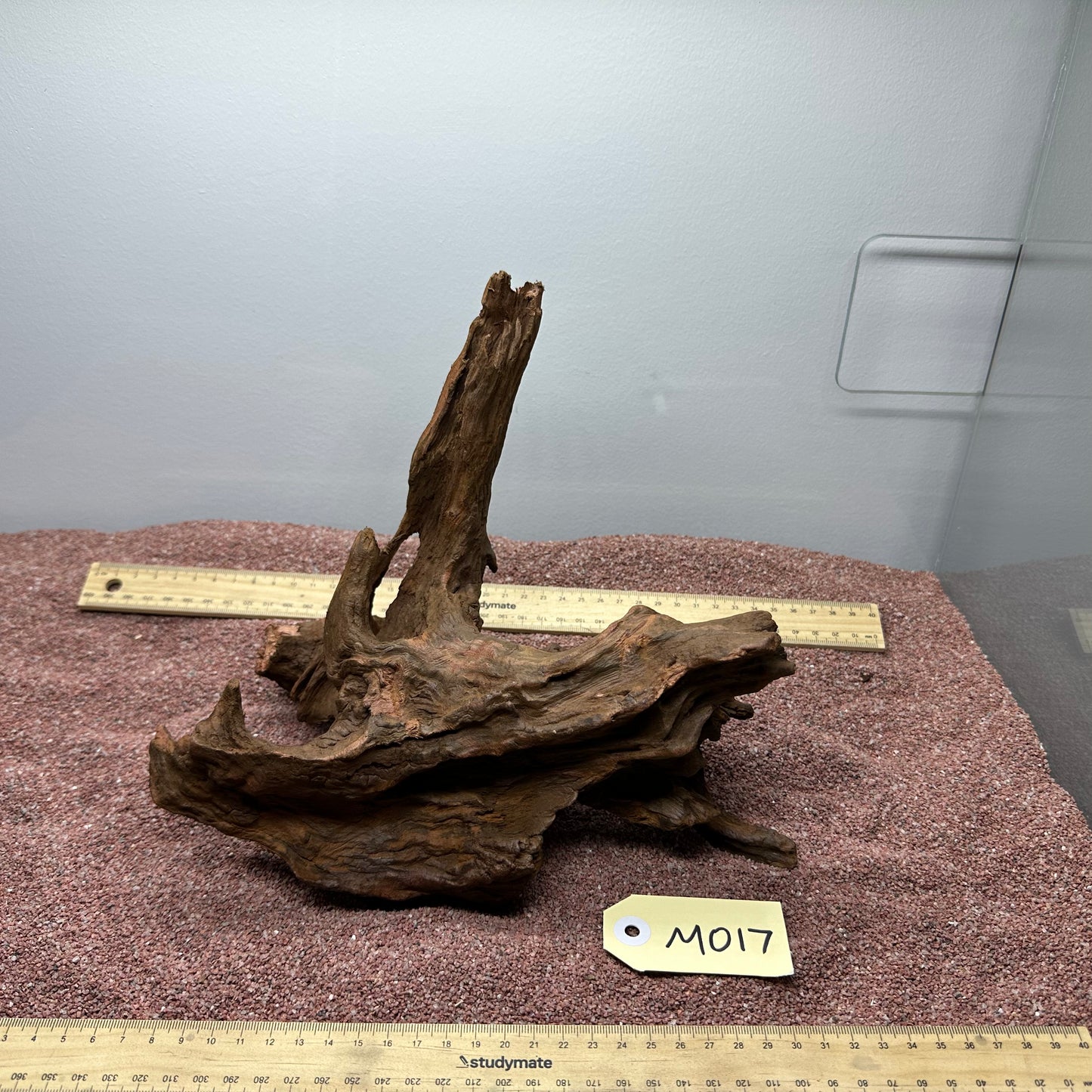 Driftwood (Medium)
