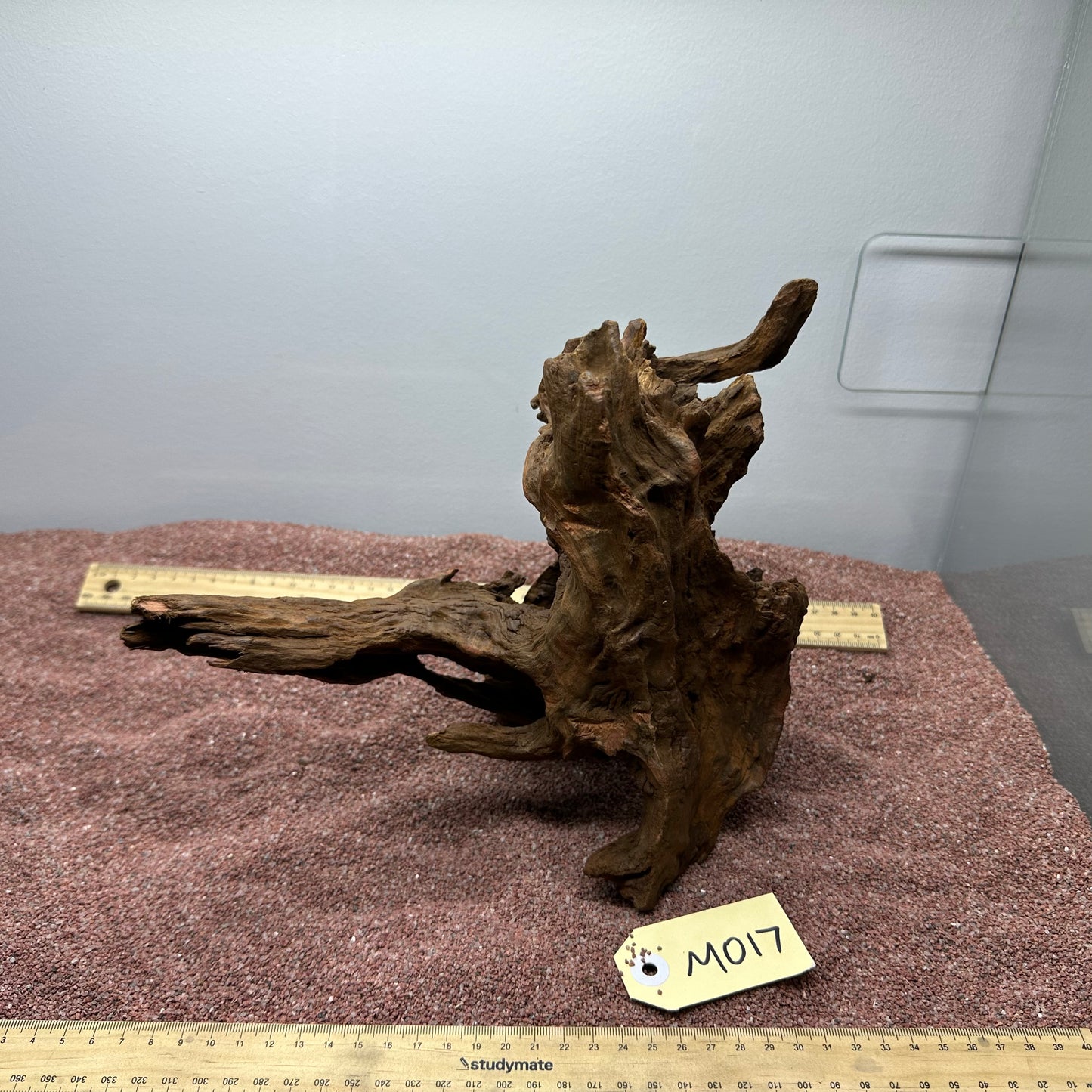 Driftwood (Medium)
