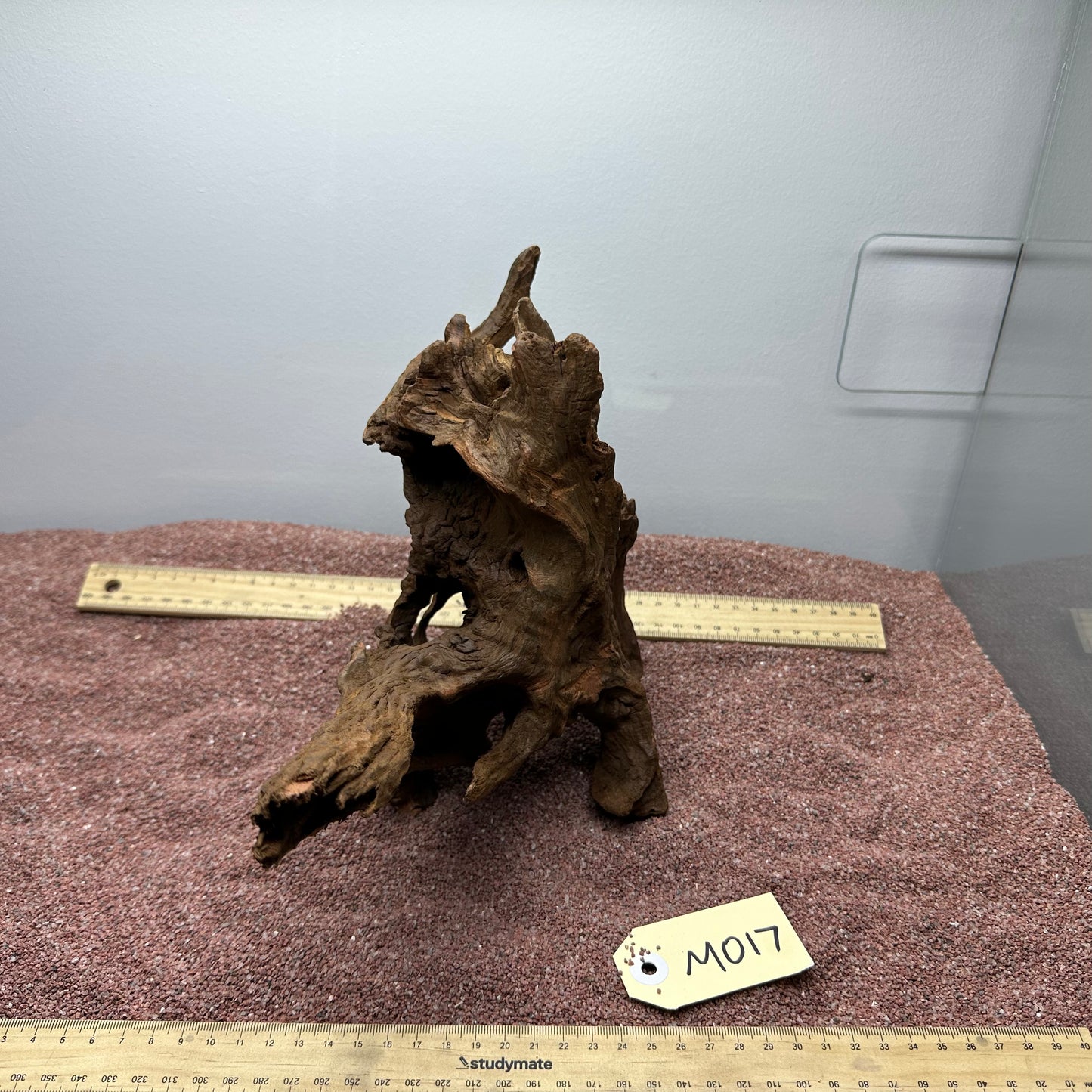 Driftwood (Medium)