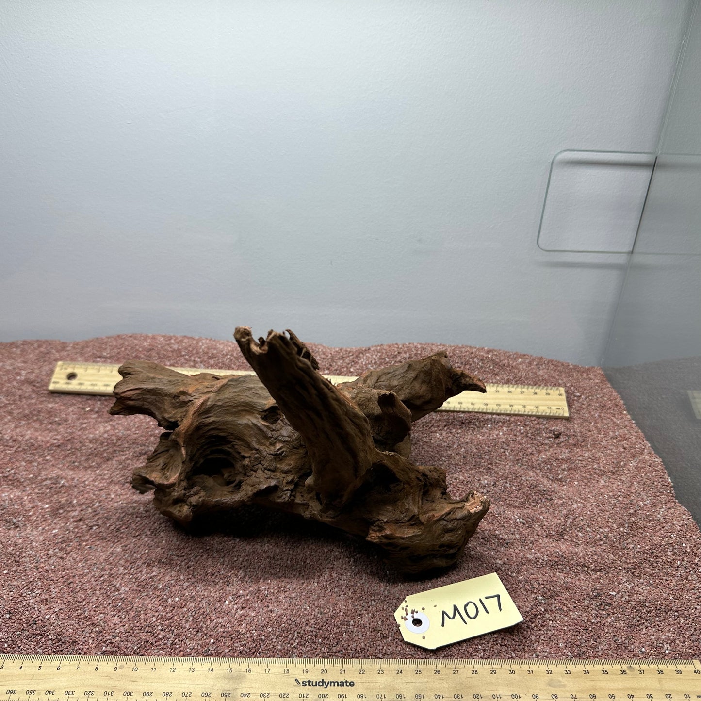 Driftwood (Medium)