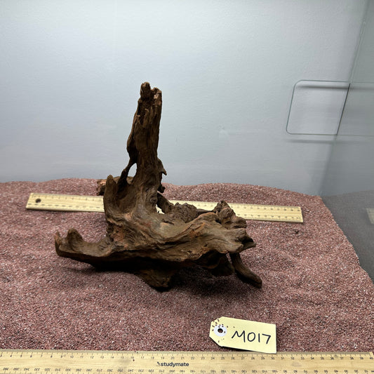 Driftwood (Medium)