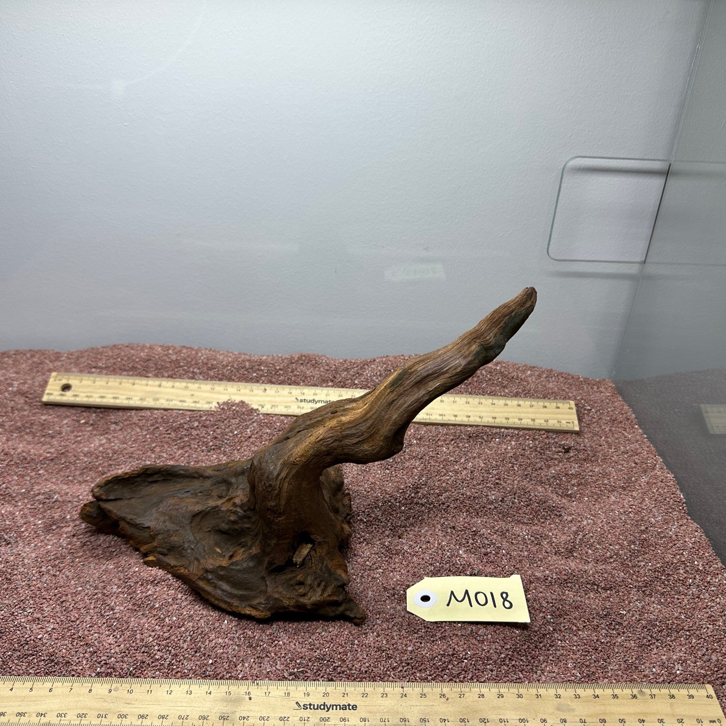 Driftwood (Medium)