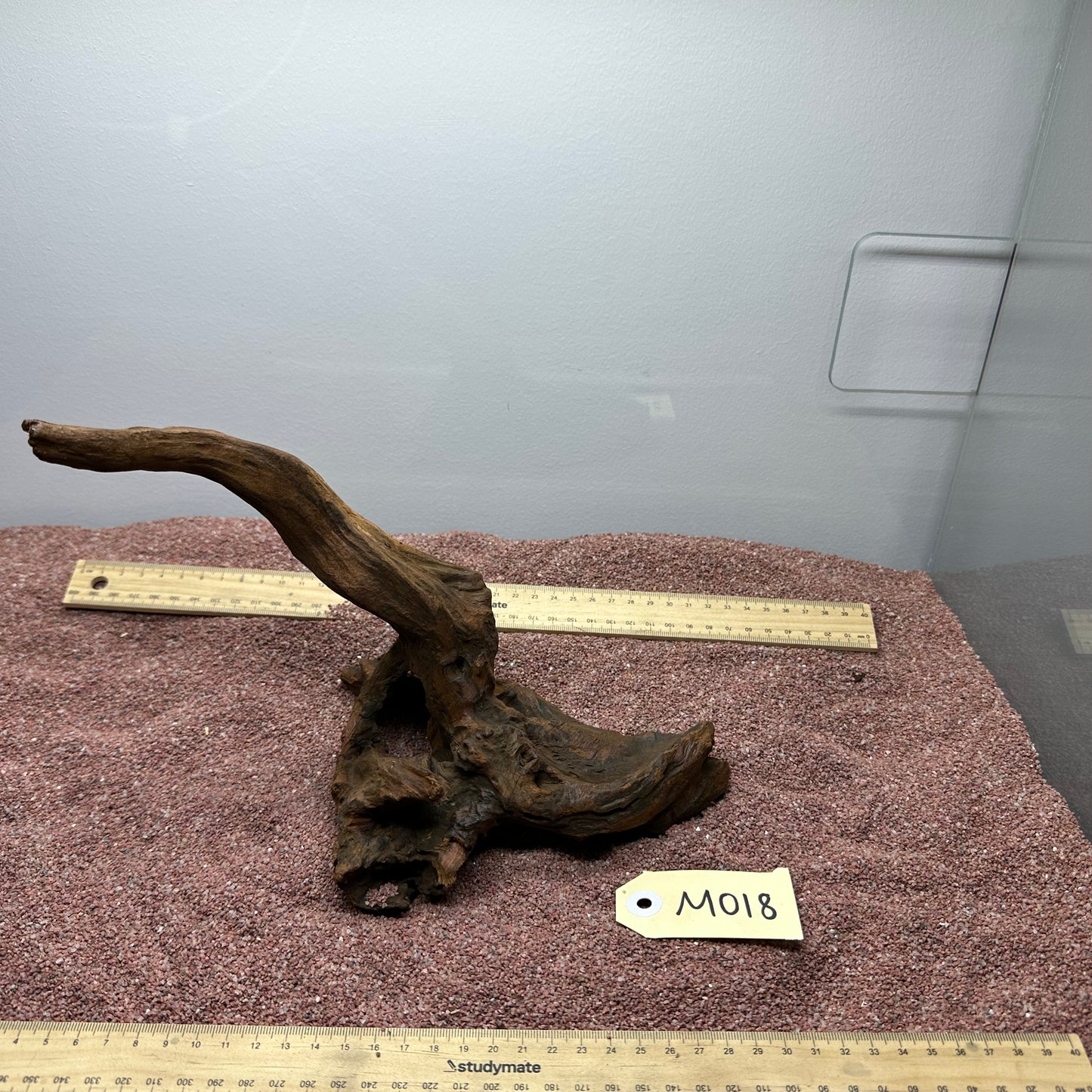 Driftwood (Medium)