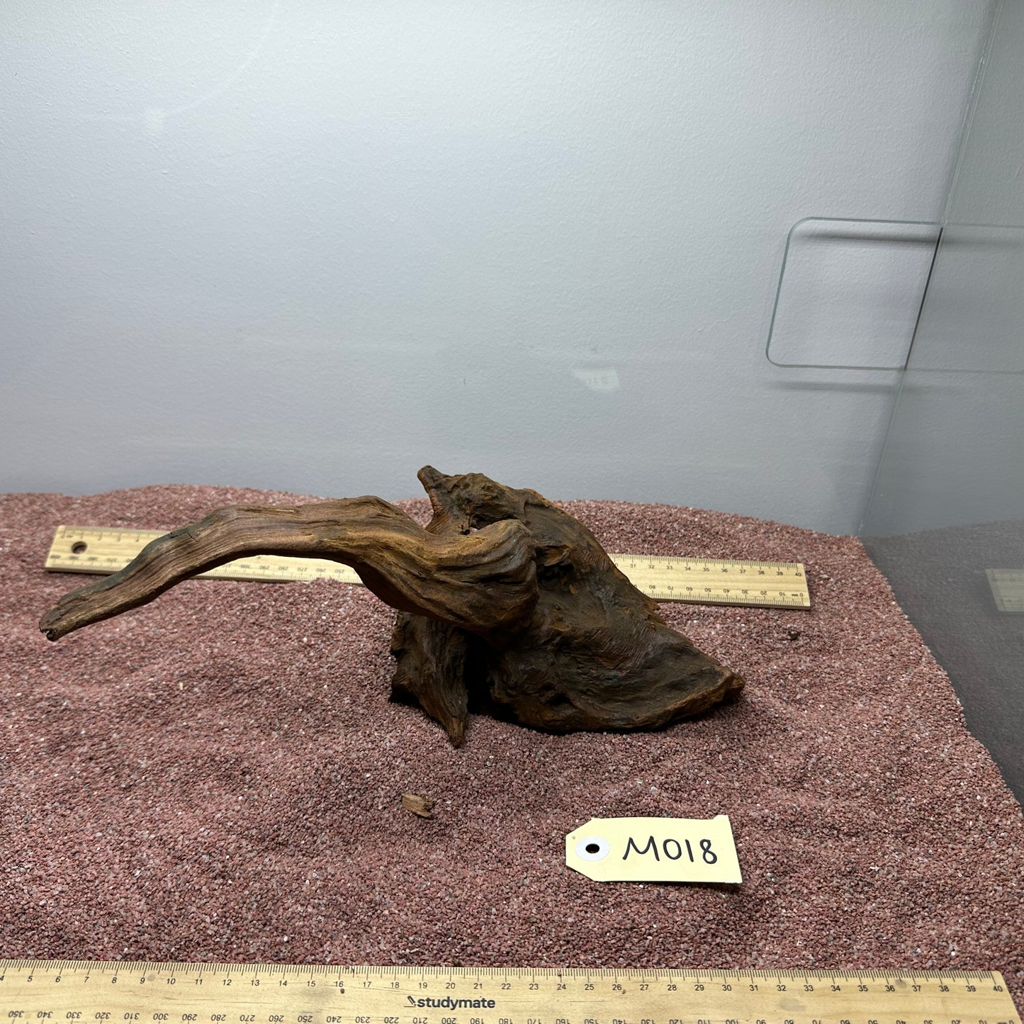 Driftwood (Medium)