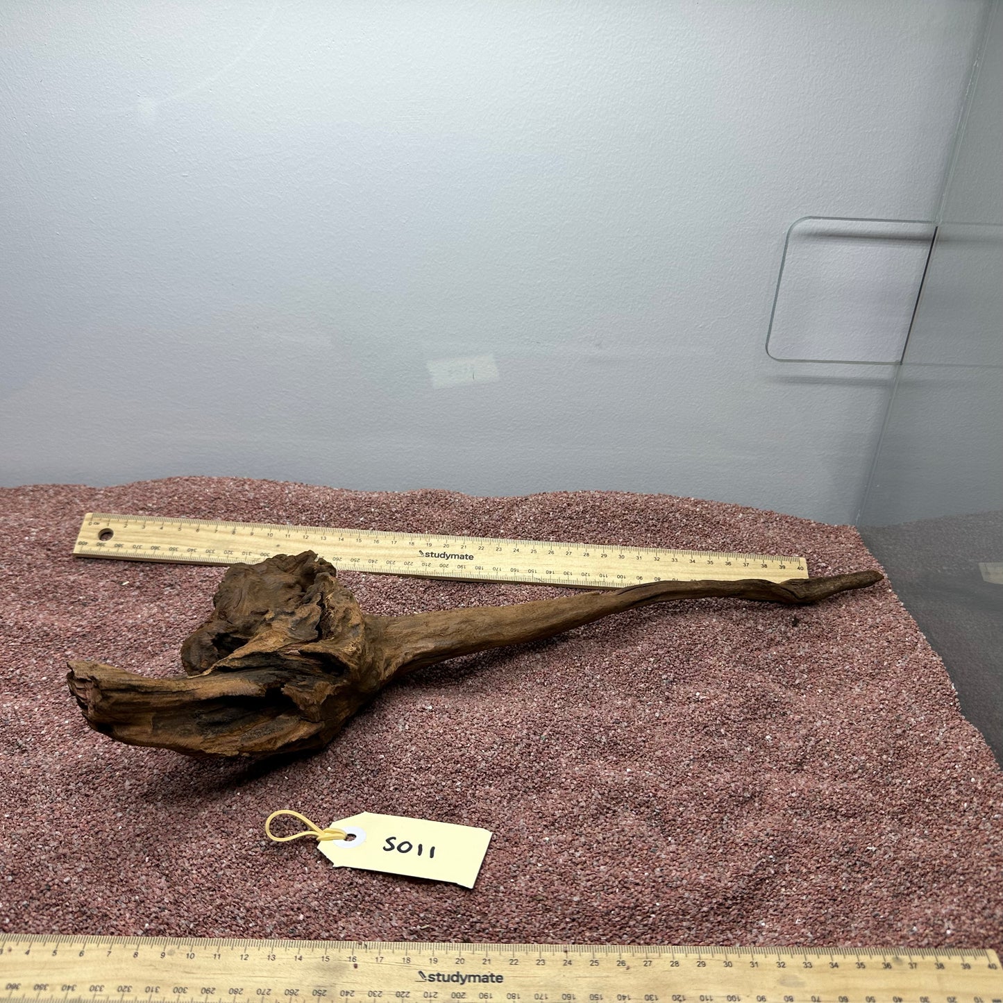 Driftwood (Small)