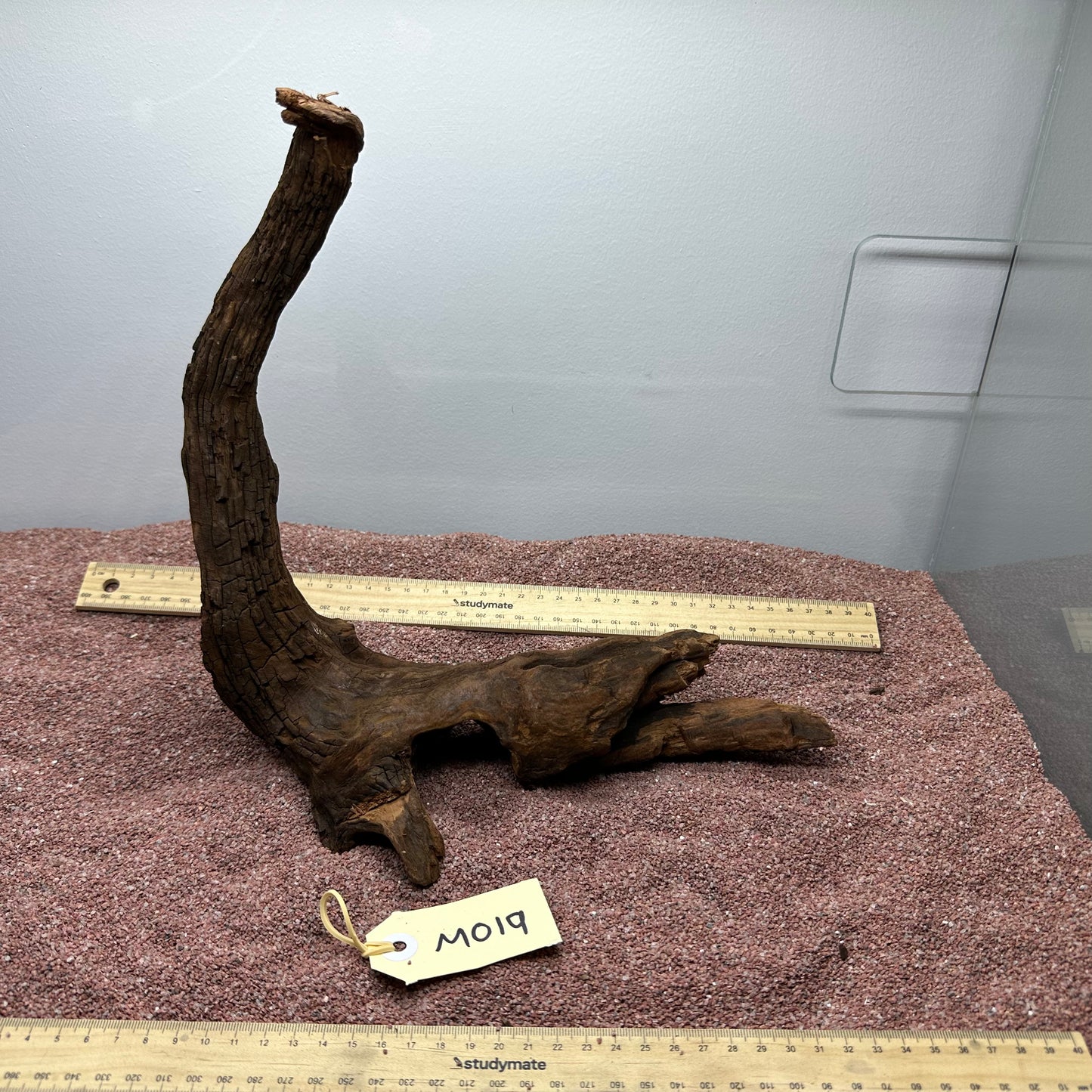 Driftwood (Medium)