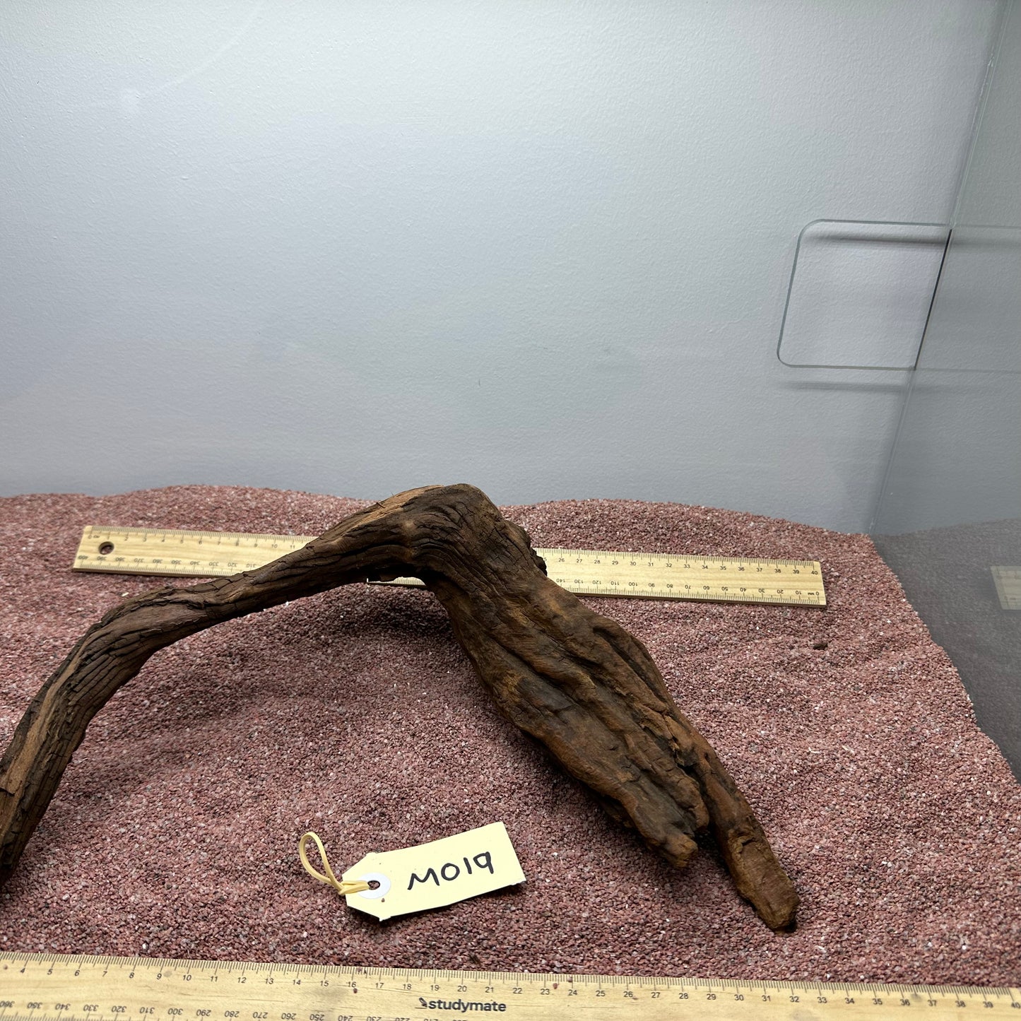 Driftwood (Medium)