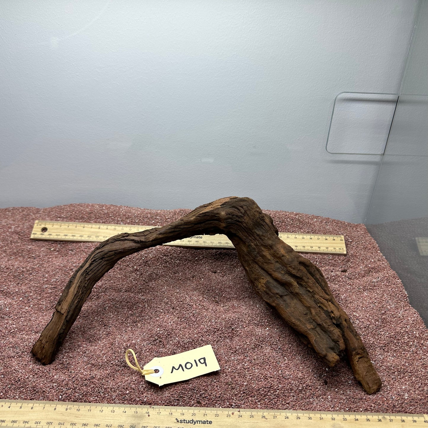 Driftwood (Medium)