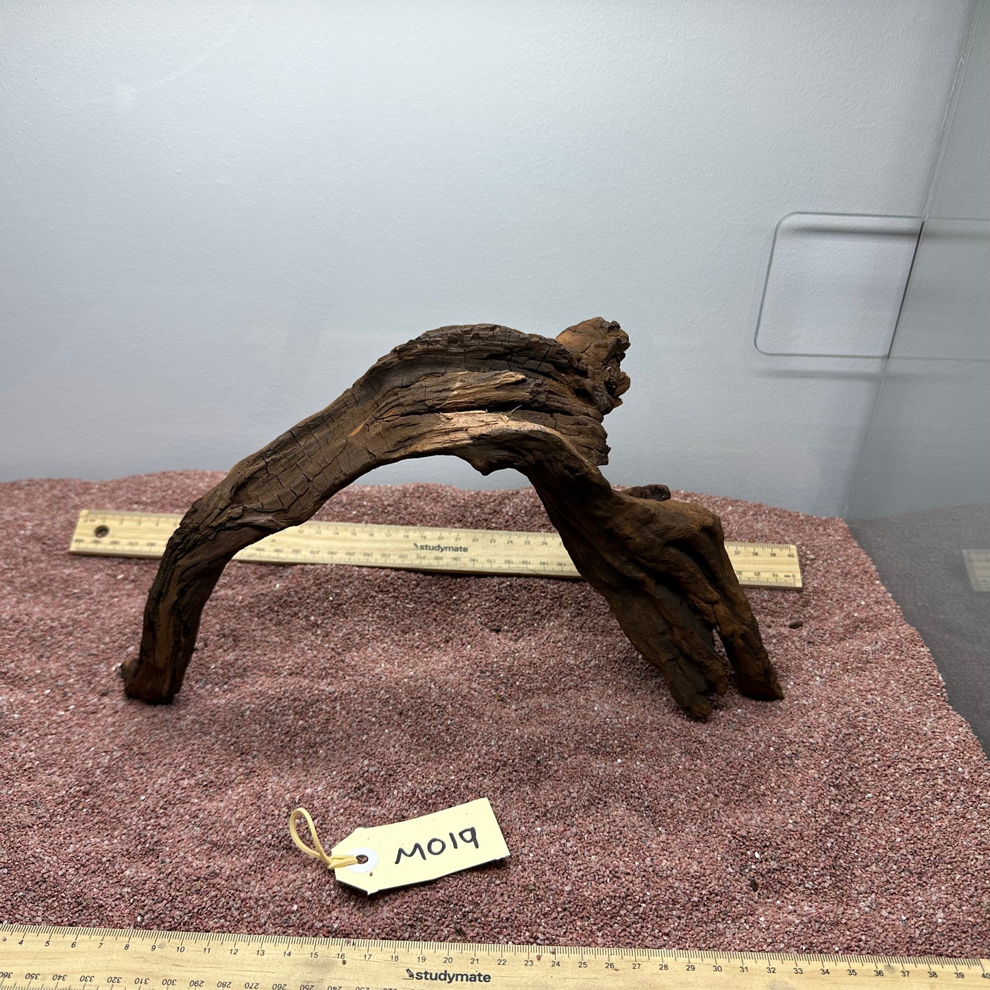 Driftwood (Medium)