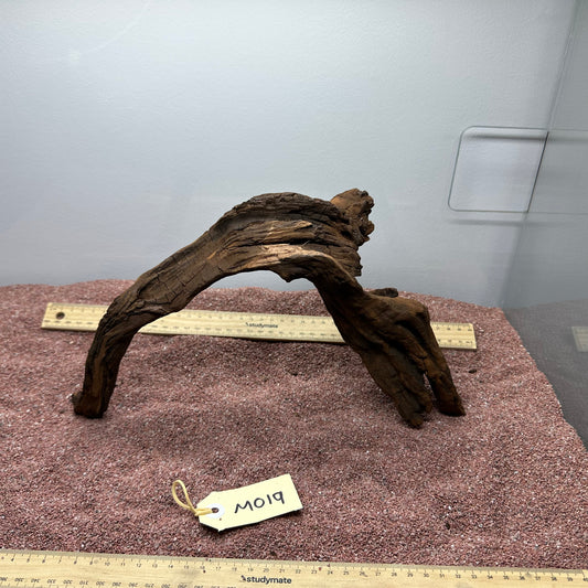 Driftwood (Medium)
