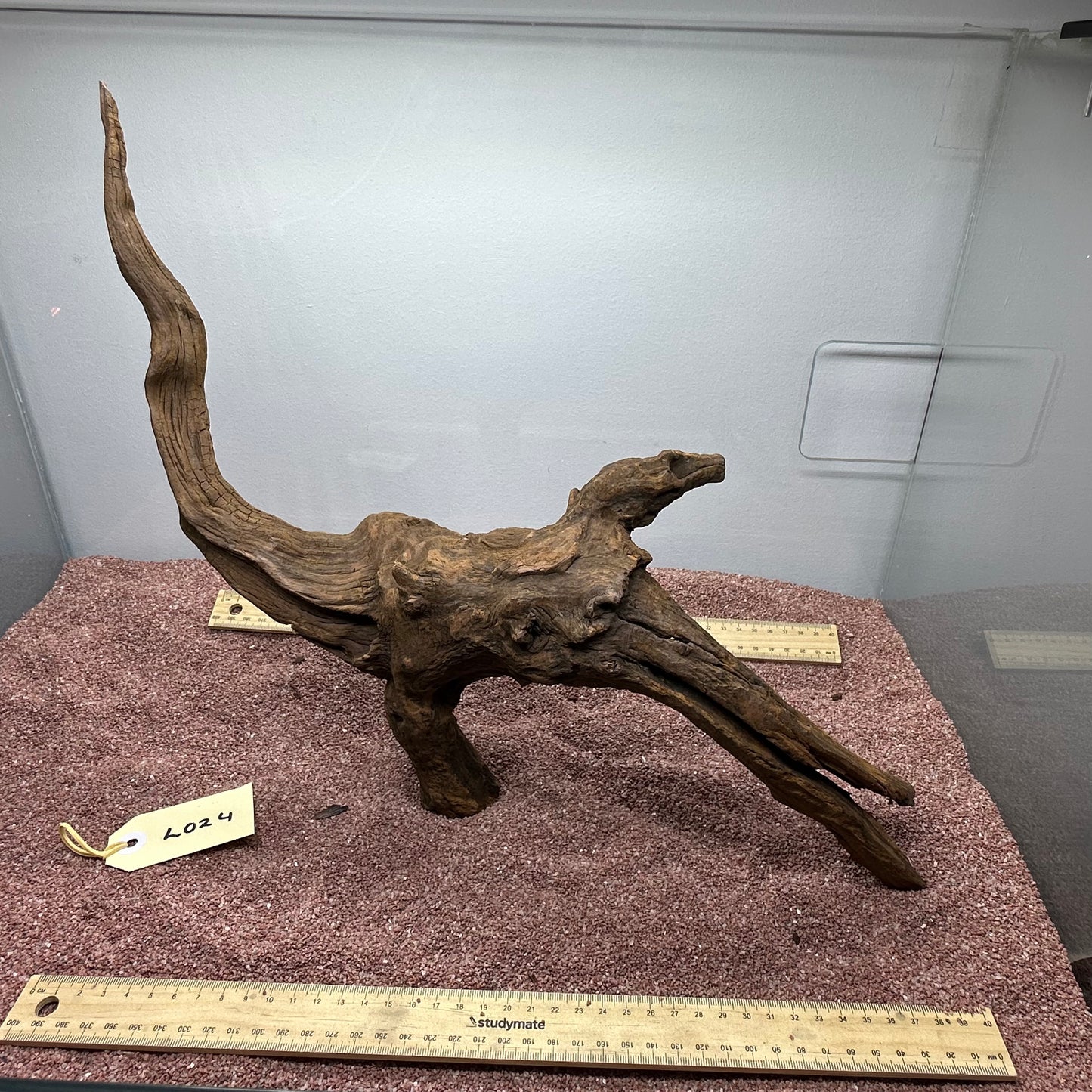 Driftwood (Large)