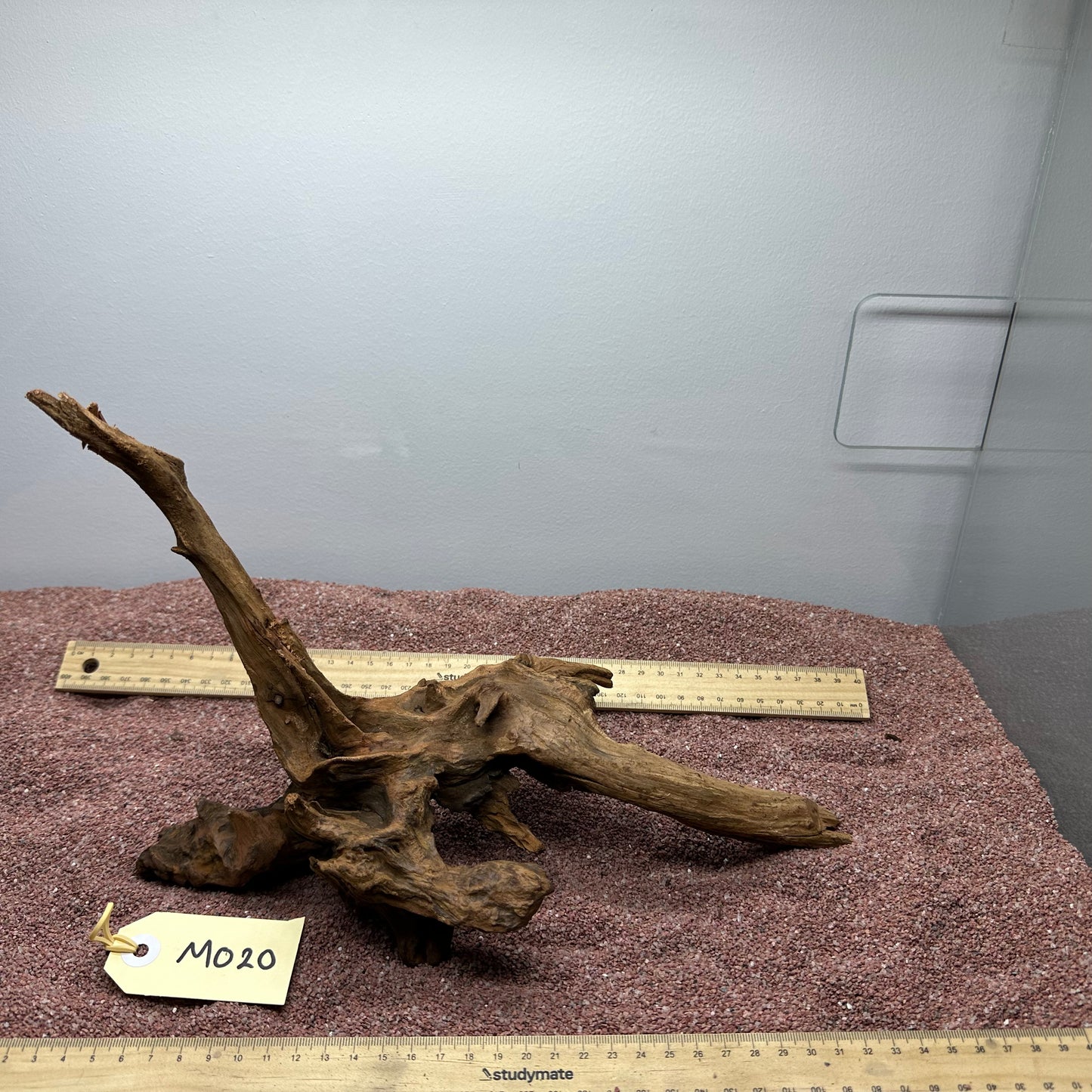 Driftwood (Medium)