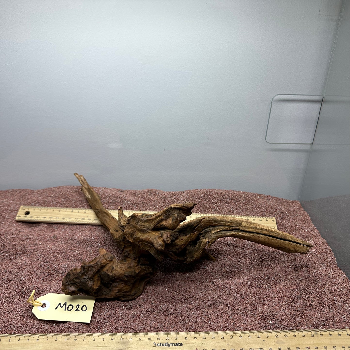 Driftwood (Medium)