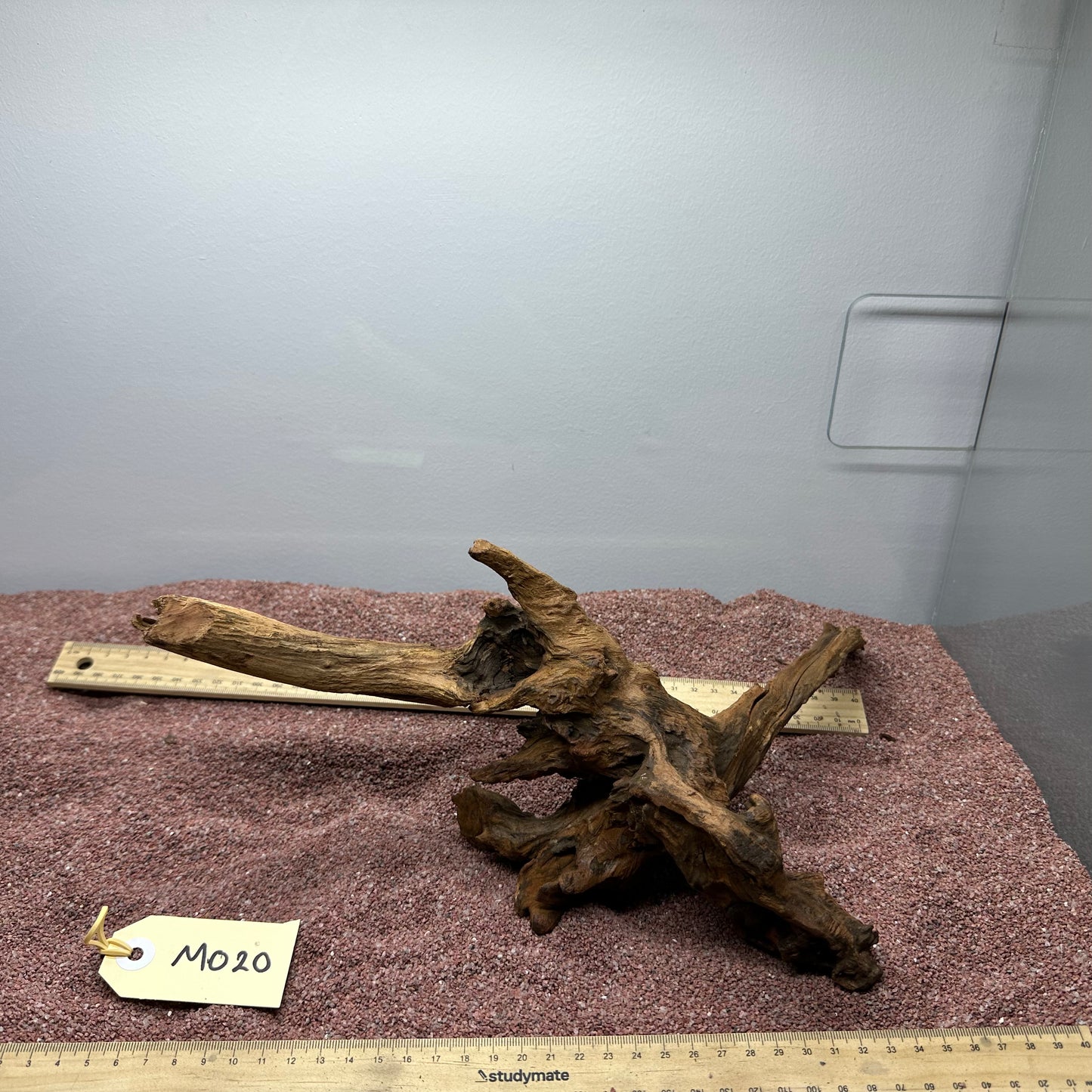 Driftwood (Medium)