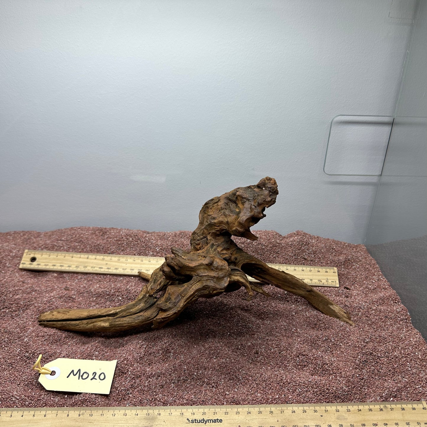Driftwood (Medium)