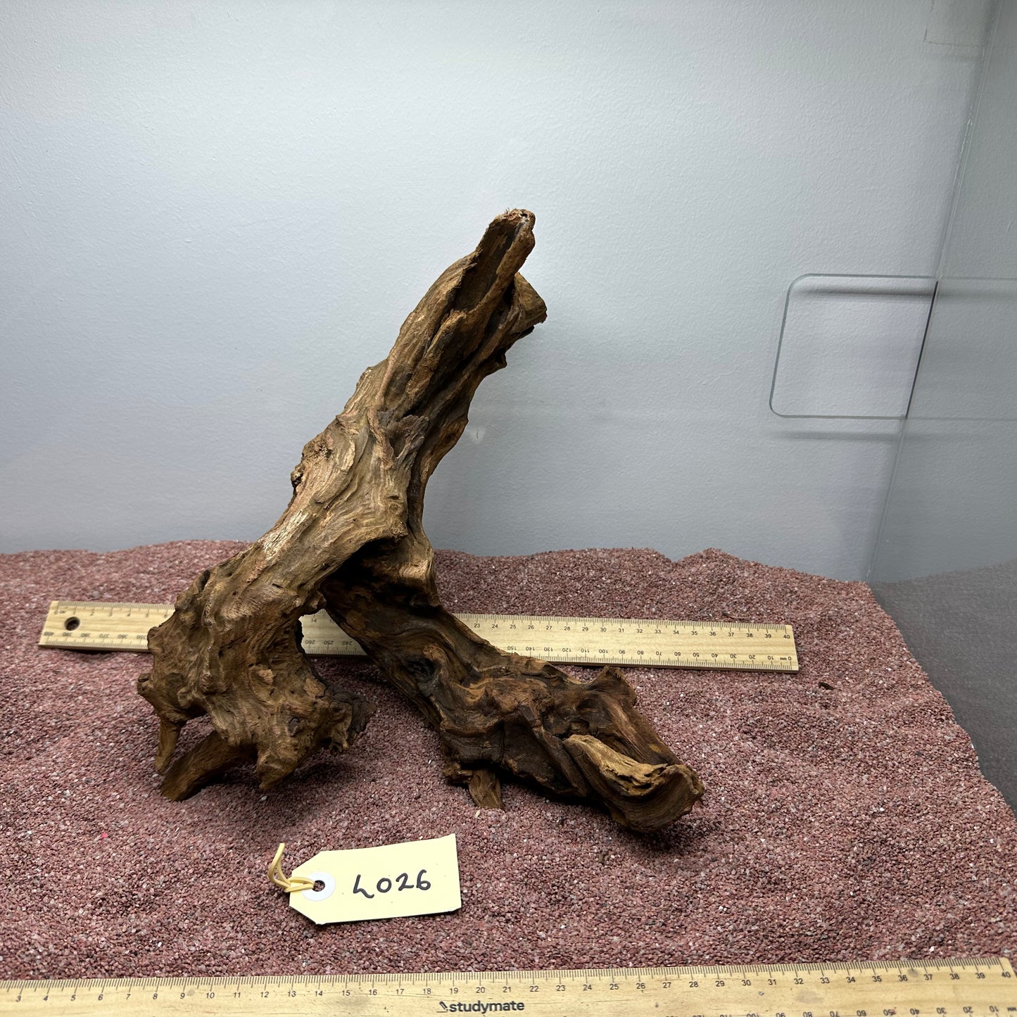 Driftwood (Large)