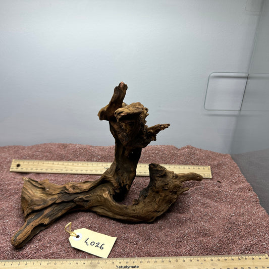 Driftwood (Large)
