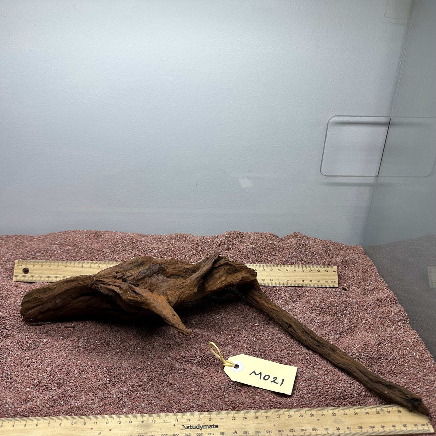 Driftwood (Medium)